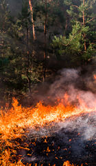 Contre-feu