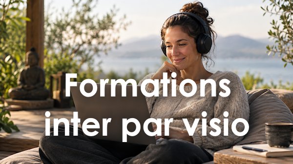 Dernières formations Inter en Visio