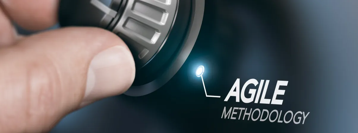 Agility in industry: the Airbus case