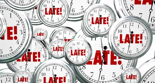 Project delayed: waiting for certification